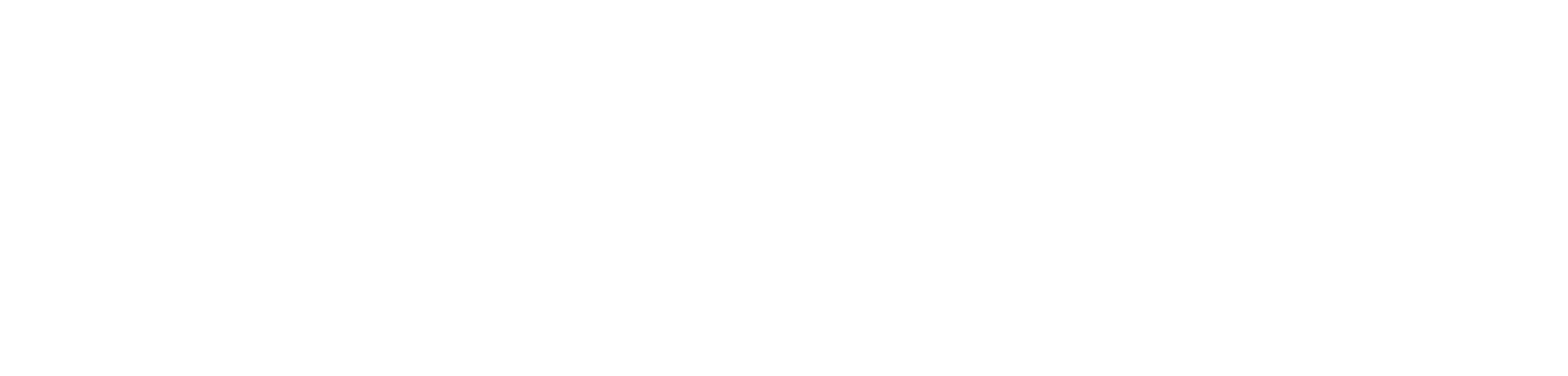LOGO_SILLKY._recadrer_250_x_70_px_8000_x_1917_px_-2.png
